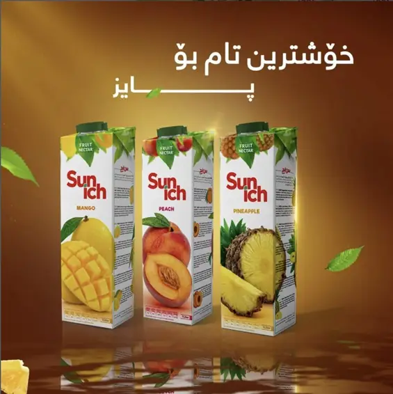 Sunich social media creative — Sunich social media creative — post visual